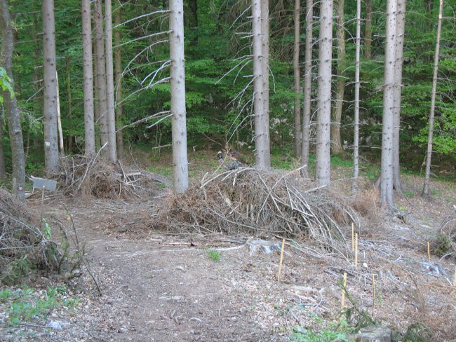 2008_05_11_SEP_Logatec - foto povečava