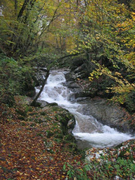 2007_10_28_Klevevž - foto povečava