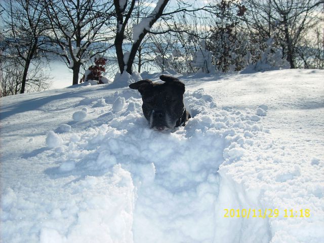 Zima 2010 - foto