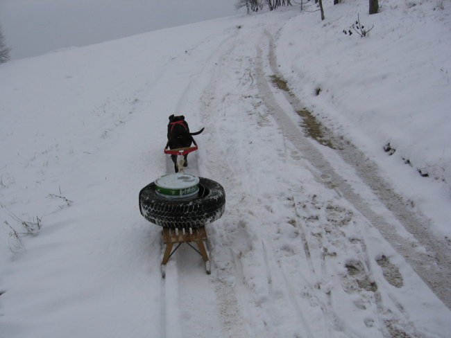 Klif - foto povečava