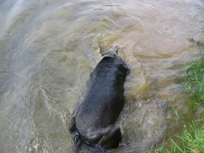 Klif - foto povečava