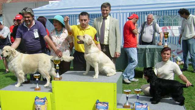 Cac sivac 2007. - foto povečava