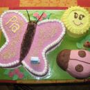 Torta metuljček, pikapolonica in sonček!