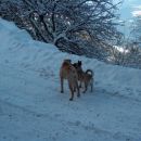 Pika in Lota na snežnem sprehodu v januarju 2007.