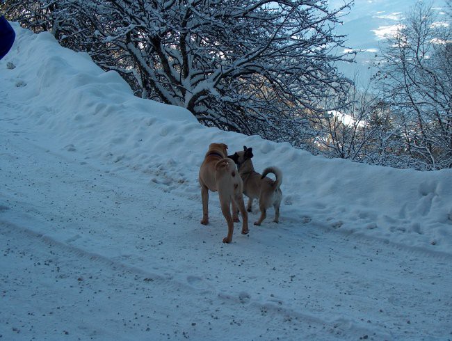 Pika in Lota na snežnem sprehodu v januarju 2007.