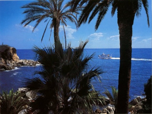 SLIKCE - foto
