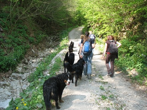 Bernski pohod na Žumberak-Eko selo, 04/07 - foto