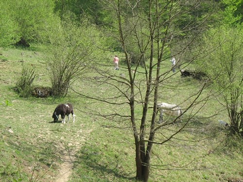 Bernski pohod na Žumberak-Eko selo, 04/07 - foto povečava