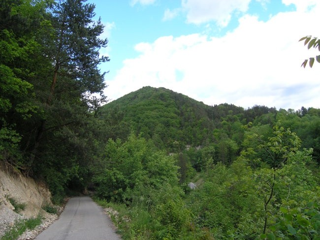 Mt. Zrebljev hrib - foto povečava