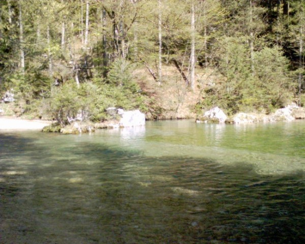 Kamniška bistrica
