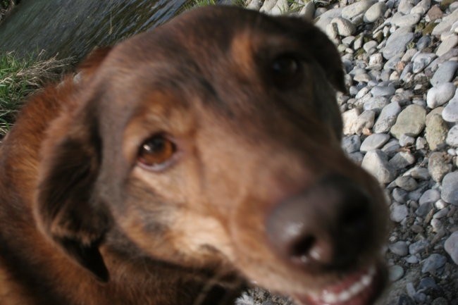 Utrinki -april - foto povečava