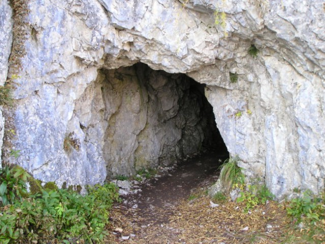Bornov tunel