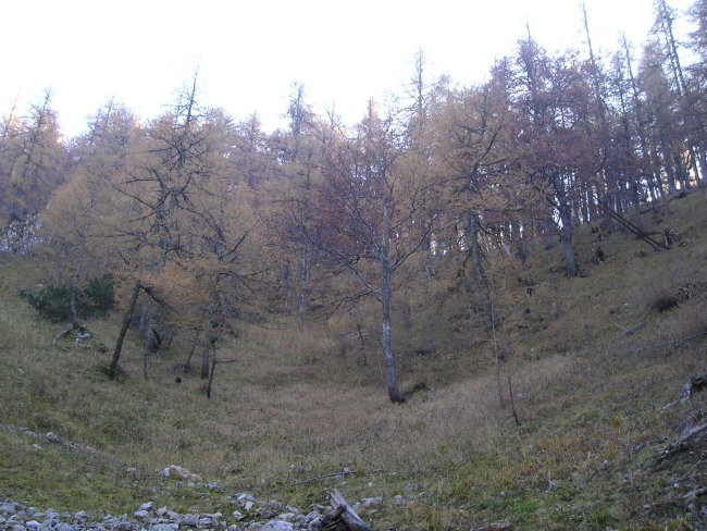 Roblek + Begunjščica 29.10.2005 - foto povečava