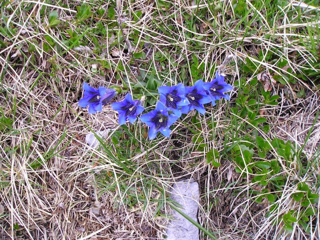 Stol 18.06.2005 - foto povečava