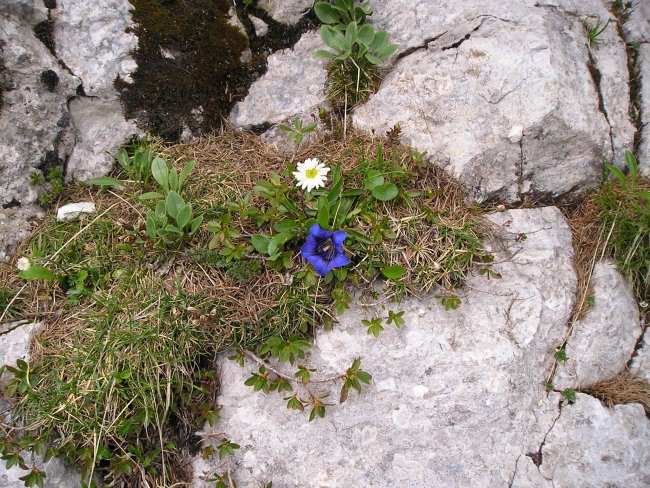 Stol 18.06.2005 - foto povečava