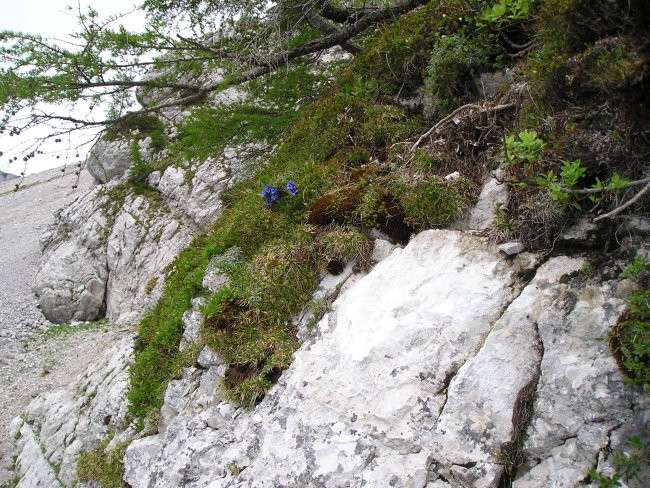 Stol 18.06.2005 - foto povečava