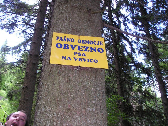 Dobrča in Kriška gora 02.07.2005 - foto povečava