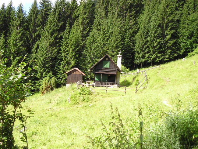 Dobrča in Kriška gora 02.07.2005 - foto povečava