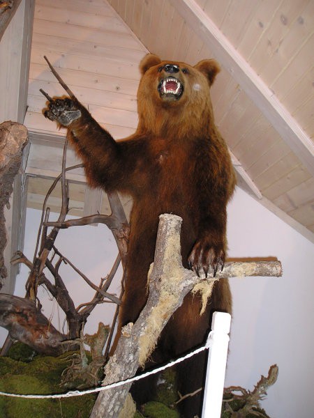 Nagačen medved ki dopolnjuje zgodbo o Antonu Tožbarju - Špik Medvedu
