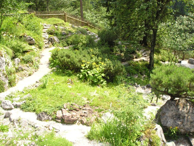 Eden izmed boljših gorskih arboretumov