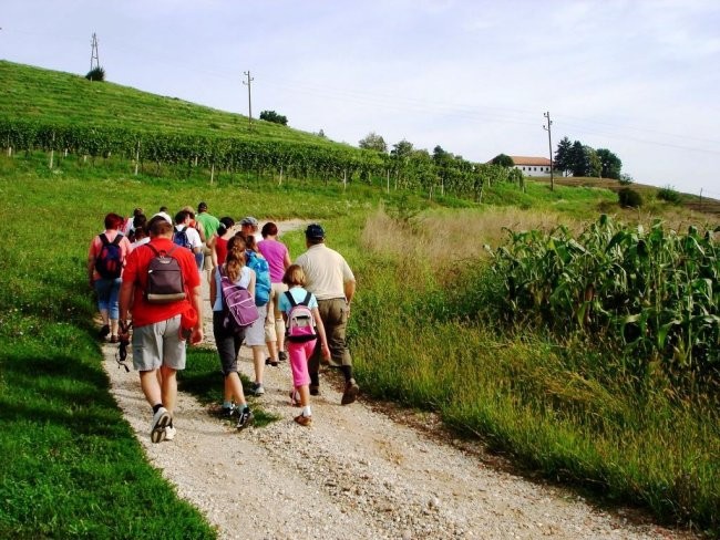 Pohod in piknik PGD Gresovščak - foto povečava