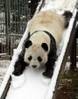 SLIDE IS FUN!
