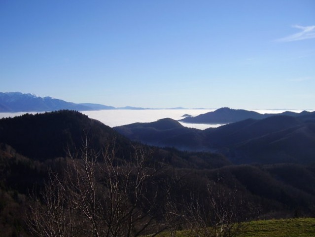 ZELENA ŽILICA - foto