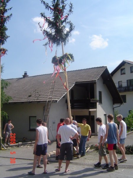 Mlaji 27.maj 2005 - foto povečava