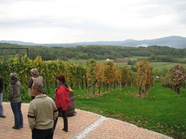 Bela krajina 2007 (sopotniki Oskarjeve Turčij - foto povečava