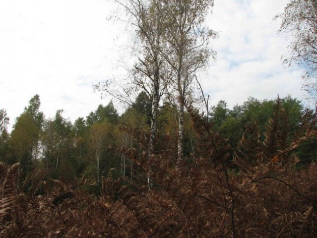 Bela krajina 2007 (sopotniki Oskarjeve Turčij - foto