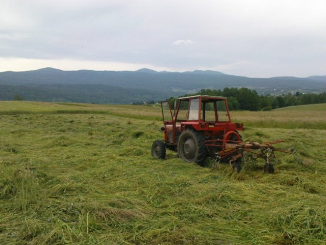 KOŠNJA - foto