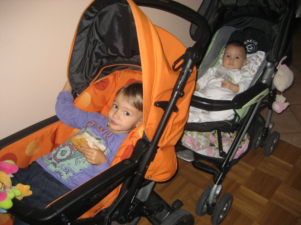 Leto a jesen 2009 - foto povečava
