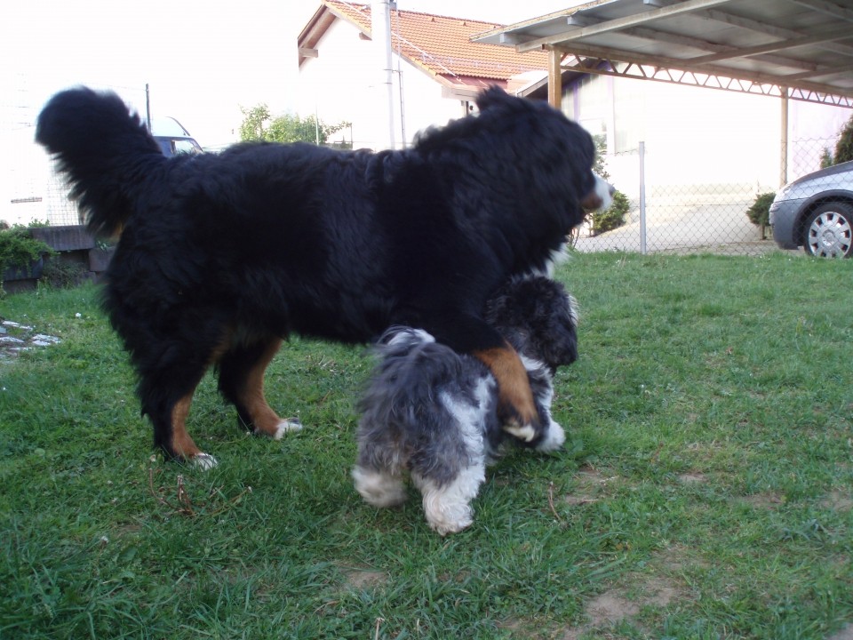 Coco Chanell - 1. rojstni dan - foto povečava