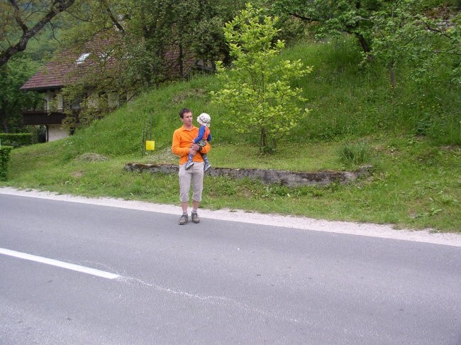 Krono kamniška - foto povečava