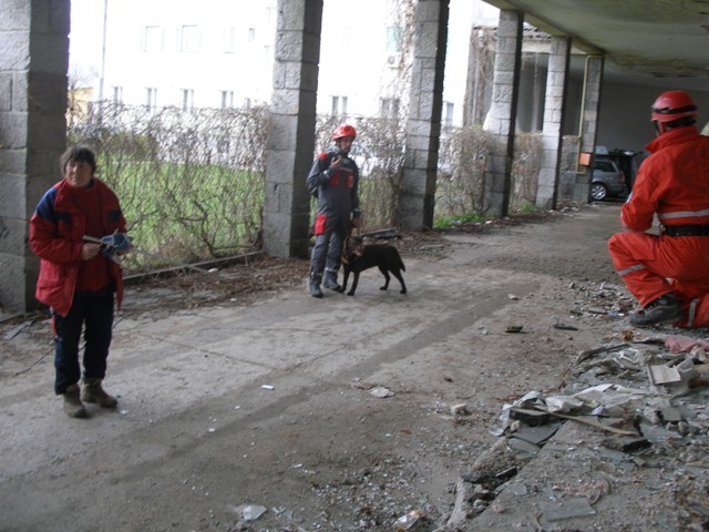 IRO vaja Ljubljana, 19.04.2008, ruševina Kran - foto povečava