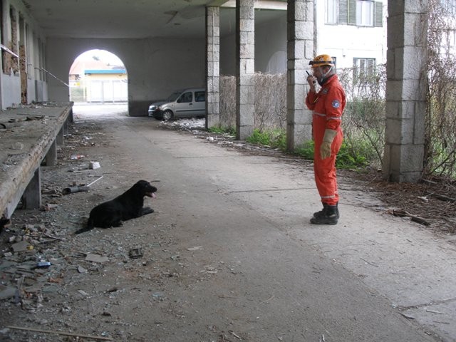 IRO vaja Ljubljana, 19.04.2008, ruševina Kran - foto povečava