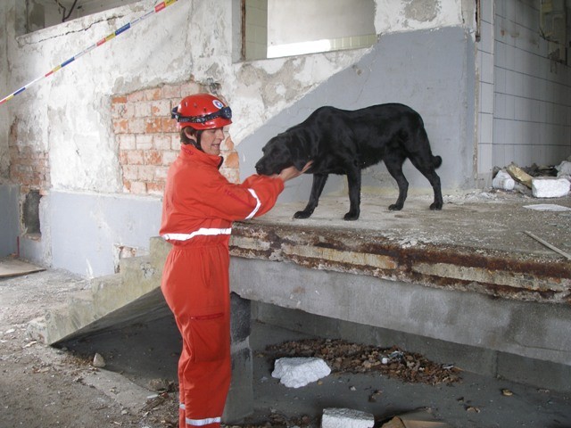 IRO vaja Ljubljana, 19.04.2008, ruševina Kran - foto povečava