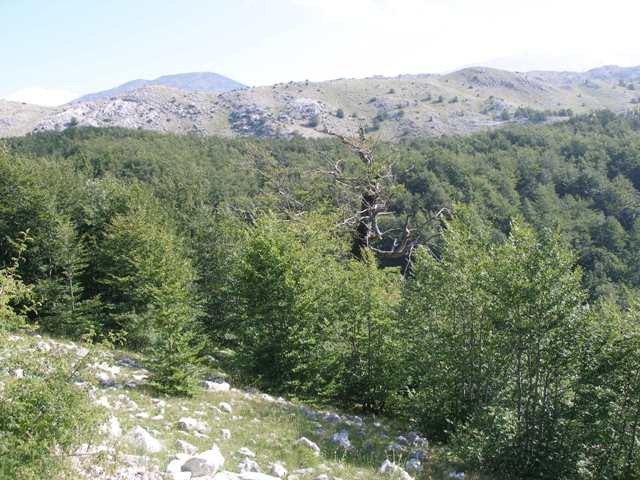 BiH Julij 08 - foto