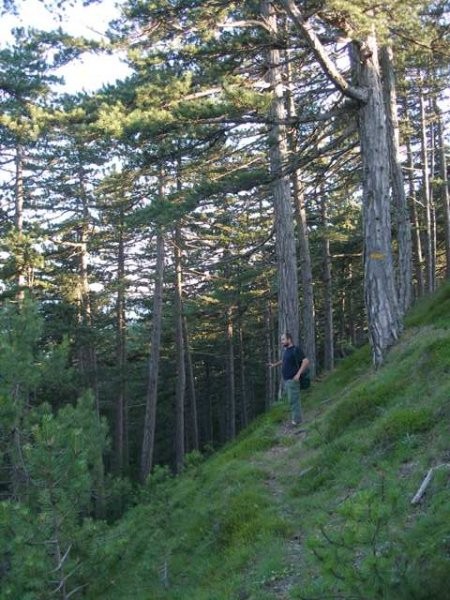 BiH Julij 08 - foto