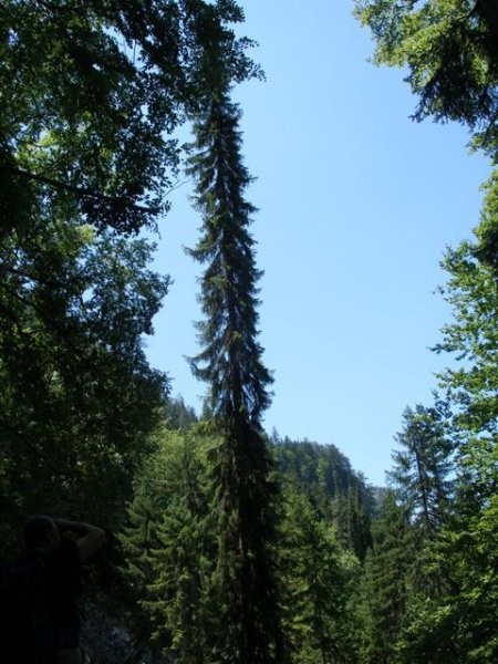 BiH Julij 08 - foto
