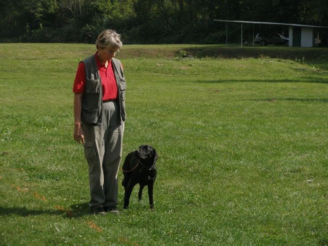 KVRP Kranj: Nacionalni izpiti, 20.09.2008 - foto povečava