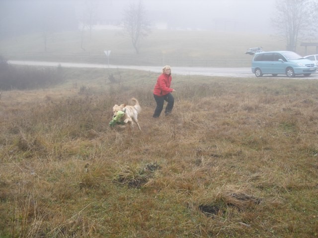 Tabor KVRP Kranj in DRP Burja na Pokljuki, ok - foto