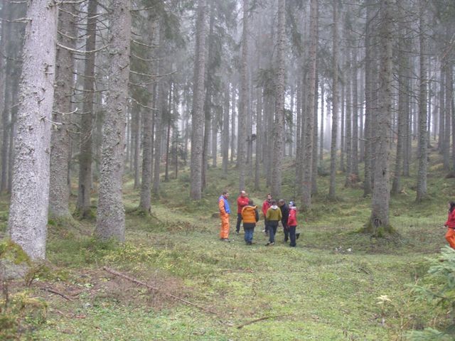 Tabor KVRP Kranj in DRP Burja na Pokljuki, ok - foto