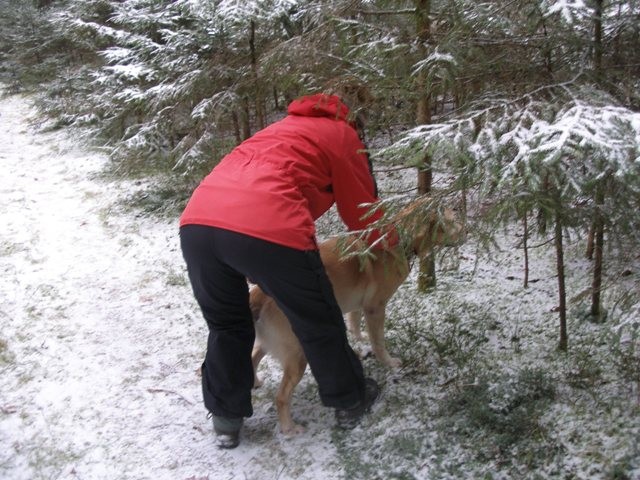 Treningi ob starem/novem letu 09 - foto povečava