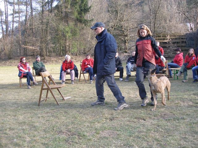 Seminar ZVRPS z M. Kovačem - foto