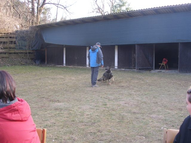 Seminar ZVRPS z M. Kovačem - foto povečava