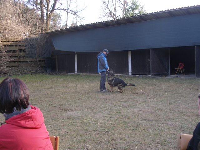 Seminar ZVRPS z M. Kovačem - foto povečava