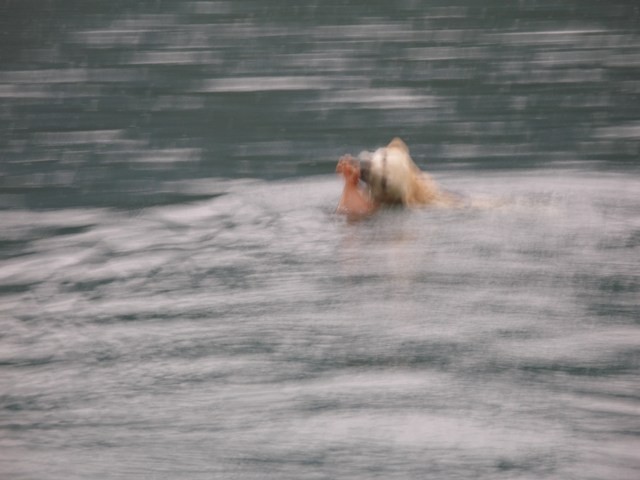 Žimo in Bailey v dežju (Bohinj, avgust 09) - foto povečava