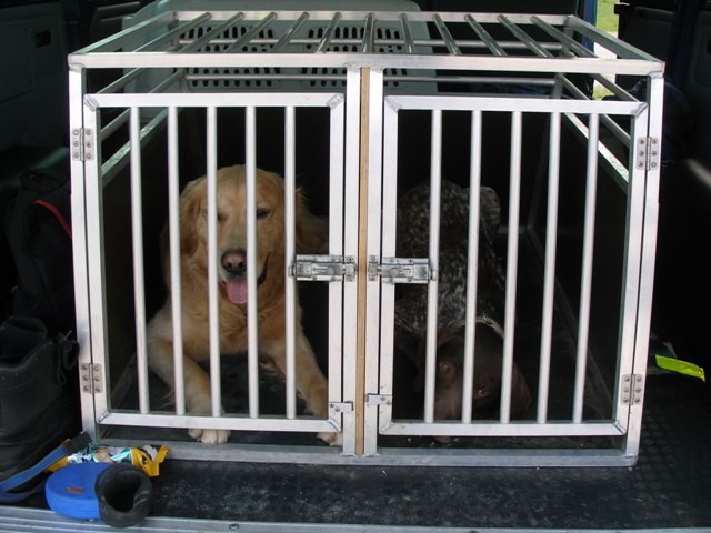 Državno prvenstvo in IRO tekma reševalnih pso - foto
