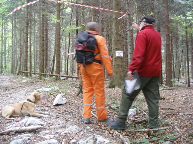 Državno prvenstvo in IRO tekma reševalnih pso - foto povečava